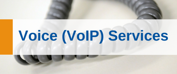 Voice (VoIP) Services